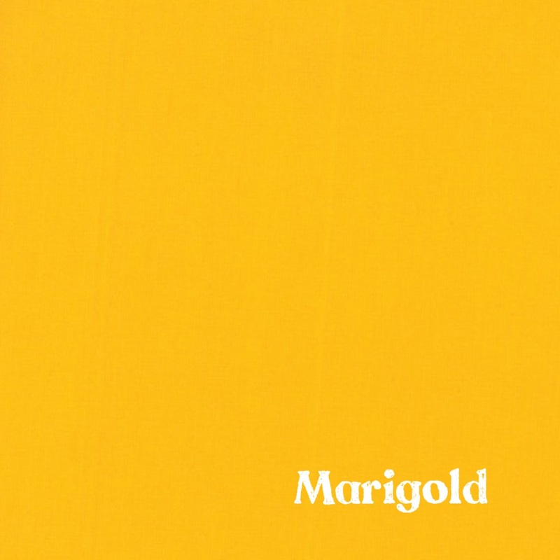 1″ Solid Webbing: Marigold