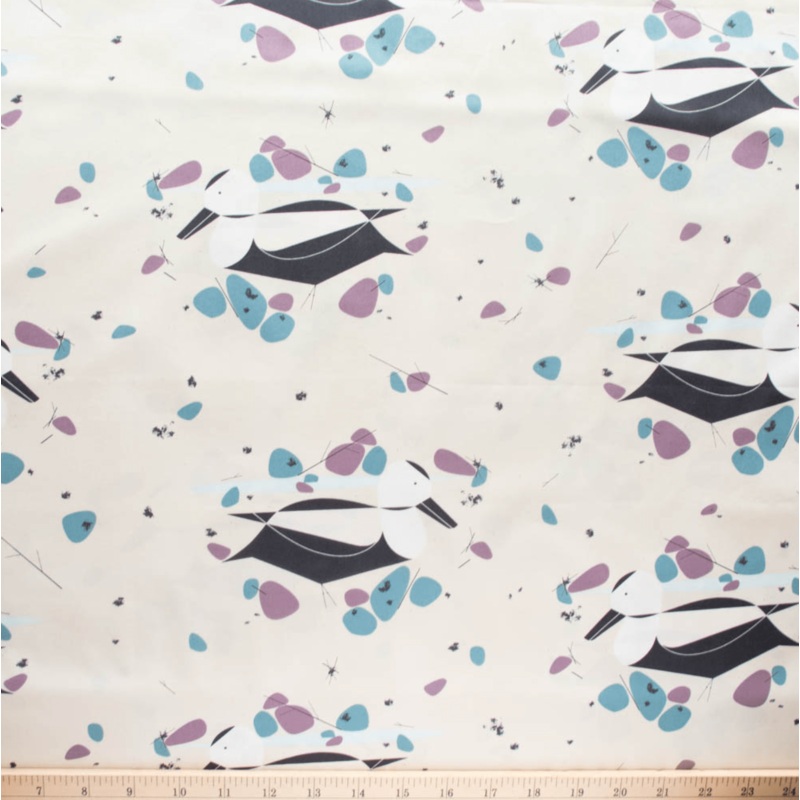 Vanishing Birds: Labrador Duck Yardage