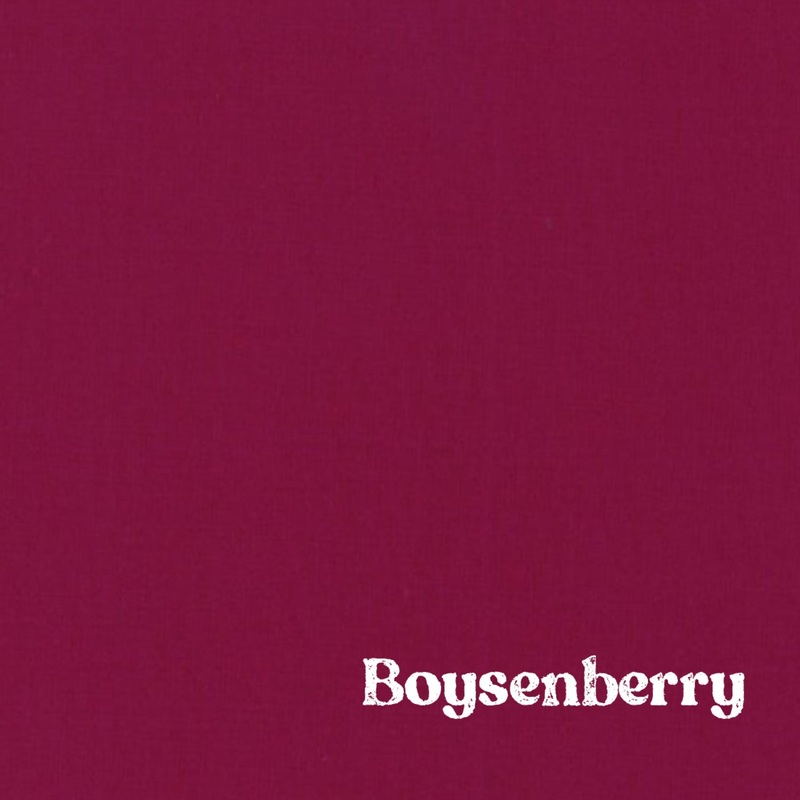 1″ Solid Webbing: Boysenberry