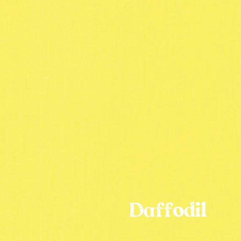 1″ Solid Webbing: Daffodil