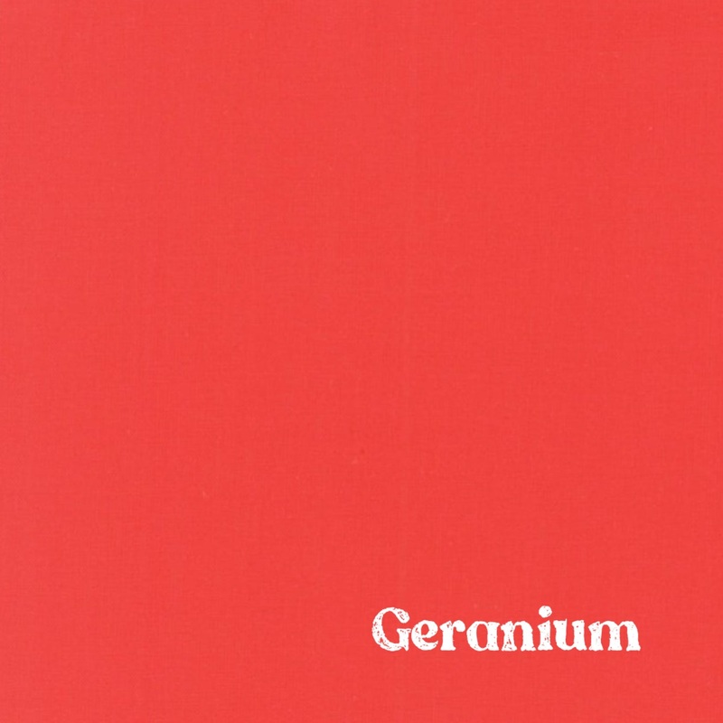 1″ Solid Webbing: Geranium