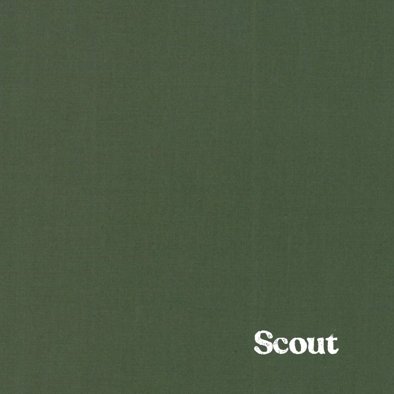 1″ Solid Webbing: Scout