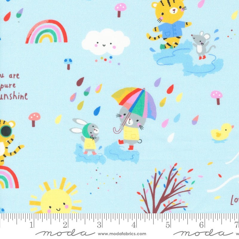Whatever the Weather: All Weather Friends in Rain Yardage