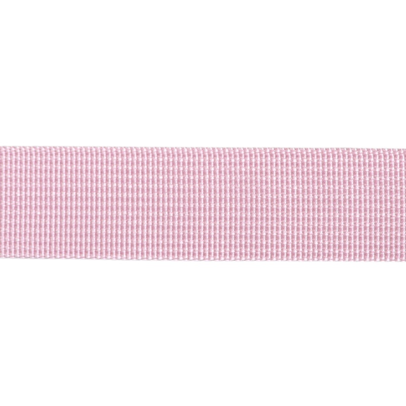 1in Poly/Nylon Webbing Orchid 25MM-P-52