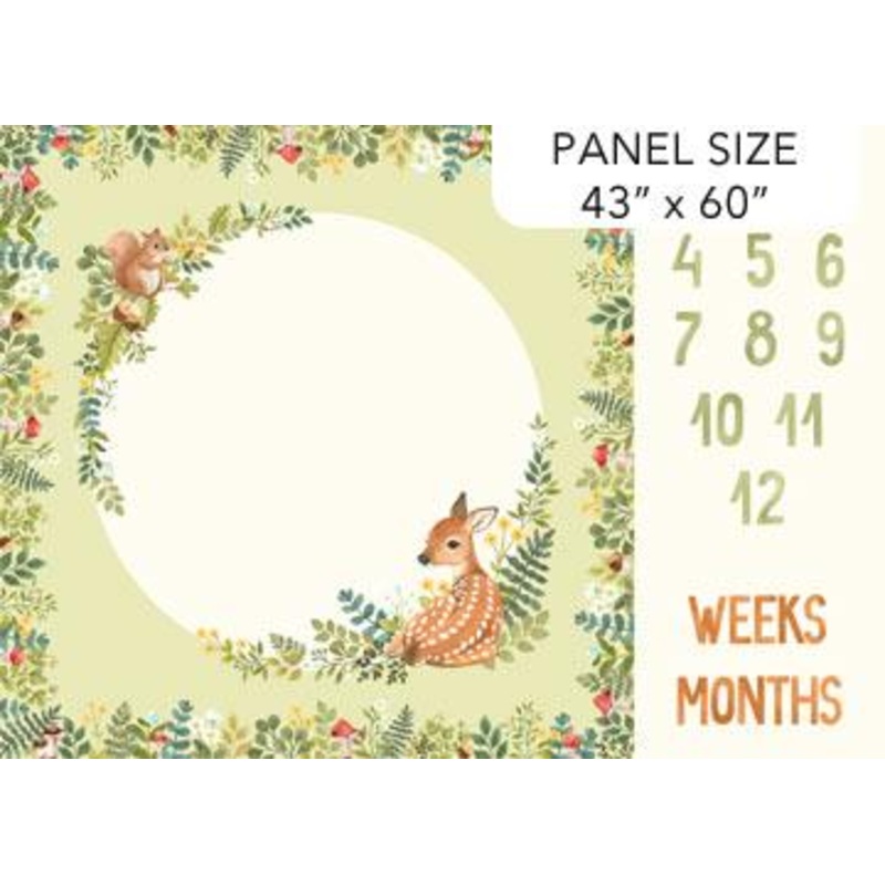 Woodland Babes-58″ Milestone Panel Green/Multi DP27165-72
