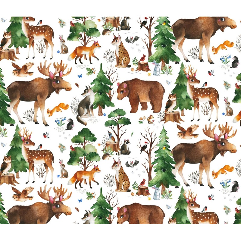 Who Lives In The Woods?-Woodland Animals White 724-WHITE