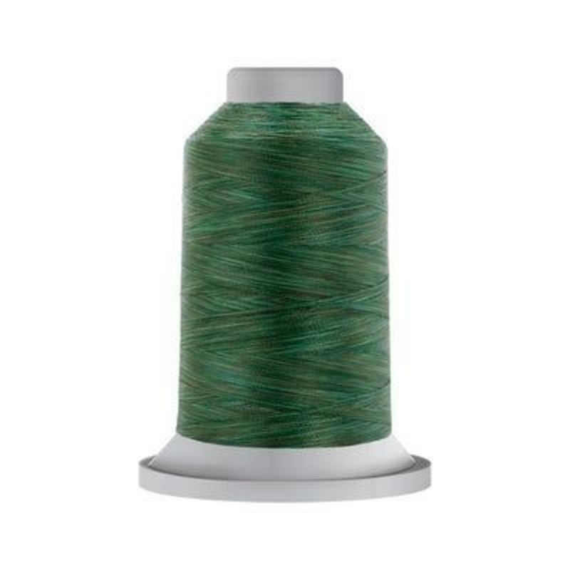 60293 Affinity Variegated 100% Polyester 40wt Forest
