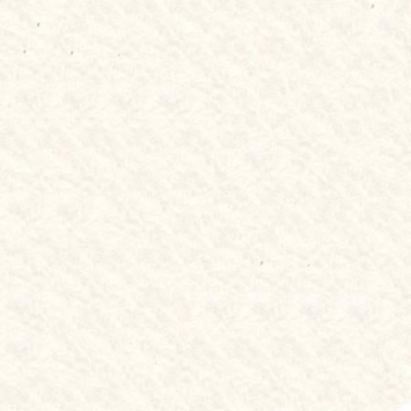 White Wool Felt WCF001YD1100