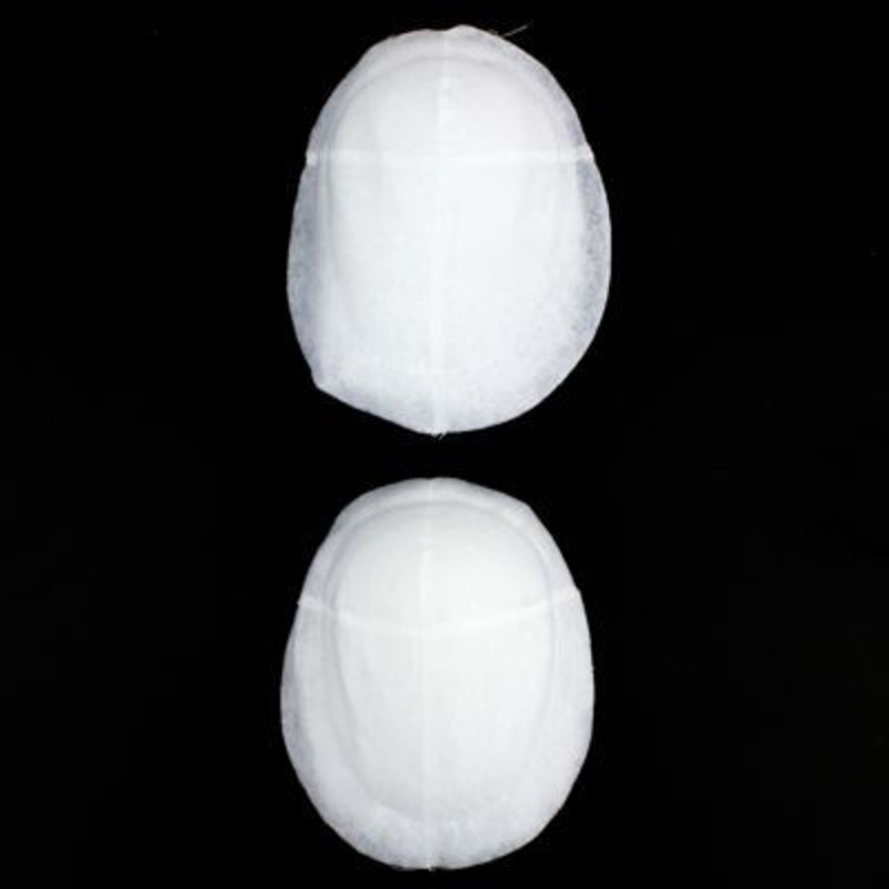 SHOULDER PAD 1/2″ RAGLAN