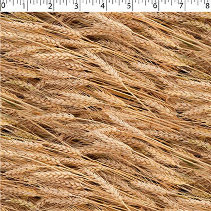 NATURE’S CREATIONS – WHEAT 007 NATURAL
