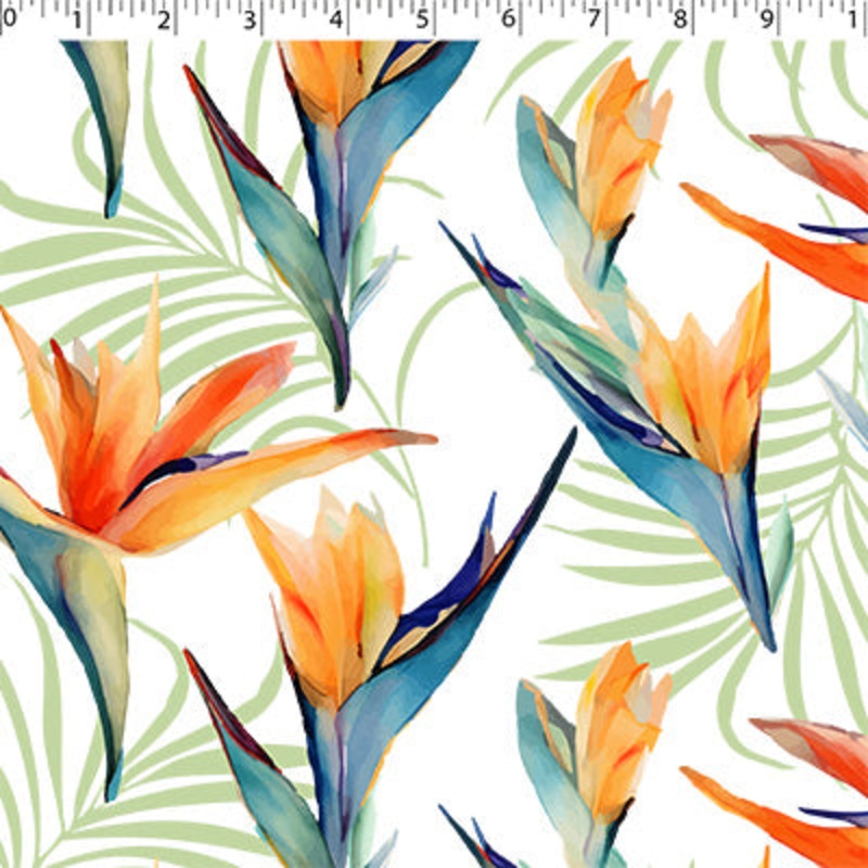 TERRA VERDE OUTDOOR PRINTS – BIRD OF PARADISE