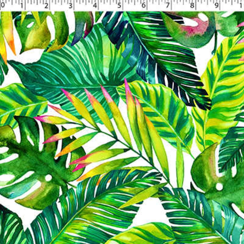 TERRA VERDE OUTDOOR PRINTS – KAILUA