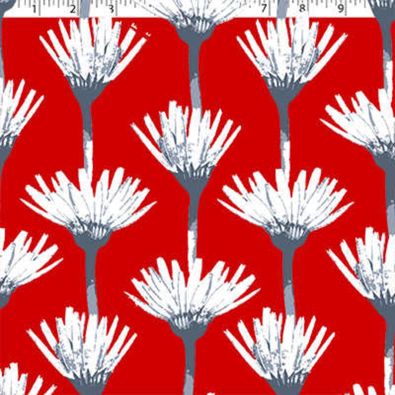 TERRA VERDE OUTDOOR PRINTS – SHASTA