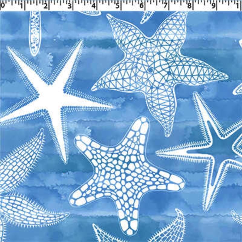 TERRA VERDE OUTDOOR PRINTS – STARFISH