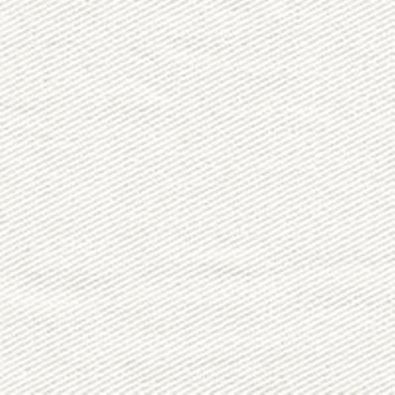 BULL DENIM TWILL 000 WHITE