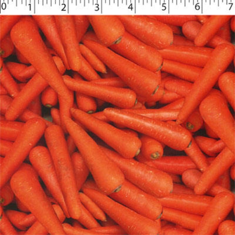 VEGETABLE GARDEN – CARROTS 007 CARROTS