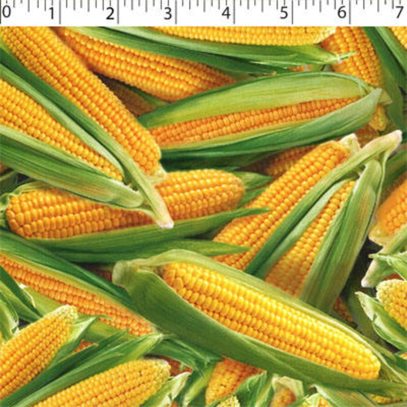 VEGETABLE GARDEN – CORN 005 CORN