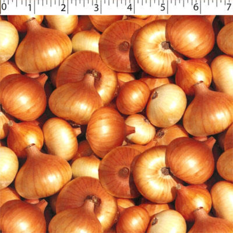 VEGETABLE GARDEN – ONIONS 010 ONIONS