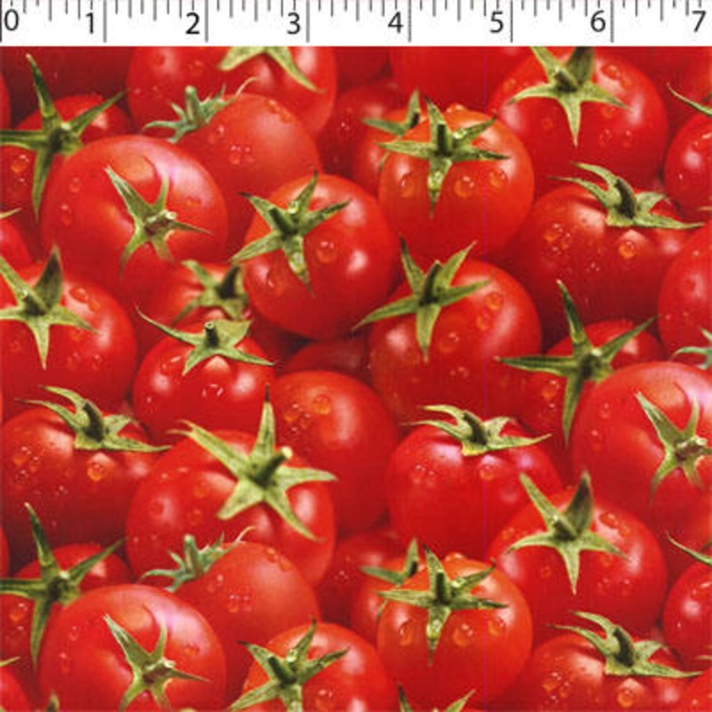 VEGETABLE GARDEN – TOMATOES 001 TOMATO