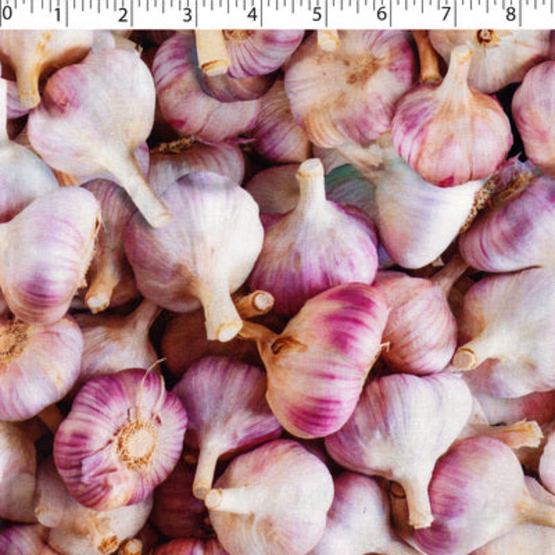 VEGETABLE GARDEN – GARLIC 012 GARLIC