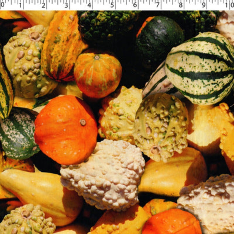 VEGETABLE GARDEN – GOURDS 013 GOURDS