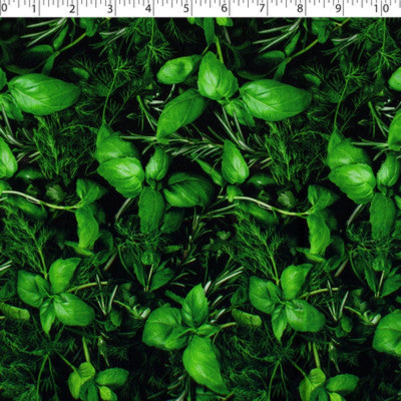 VEGETABLE GARDEN – HERBS 015 HERBS