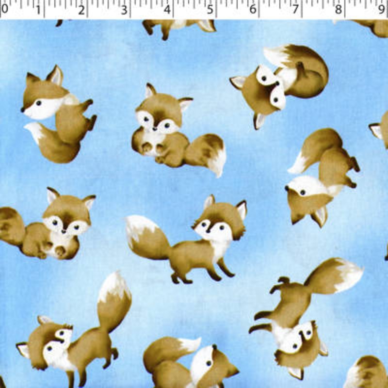SPECIAL DELIVERY COORDINATES – BABY FOX 004 BLUE