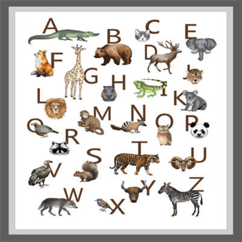 ABC ANIMALS PANEL & COORDINATES 001 MULTI