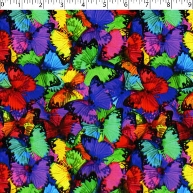 RAINBOW CREATIVE – BUTTERFLIES 003 649-1435 BUTTERFLIES