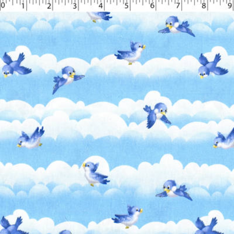 SPECIAL DELIVERY COORDINATES – BABY BIRDS 007 BLUE