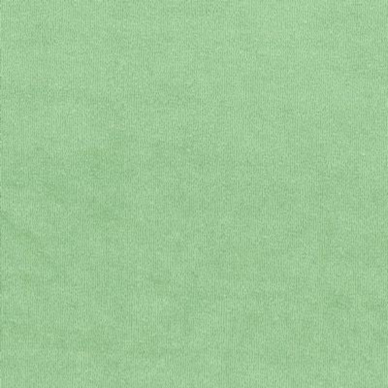 STRETCH TERRY 000 WHITE