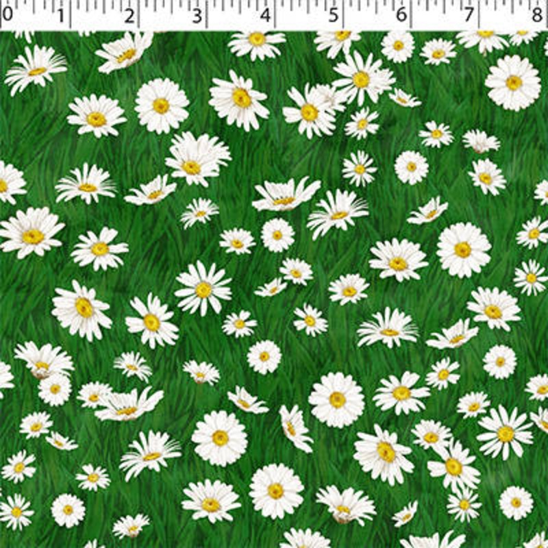 SUNFLOWER MEADOW – DAISY FIELD 009 GREEN