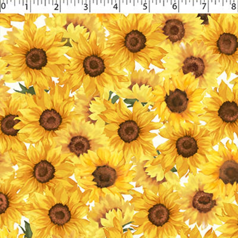 SUNFLOWER MEADOW – SUNFLOWERS 004 WHITE