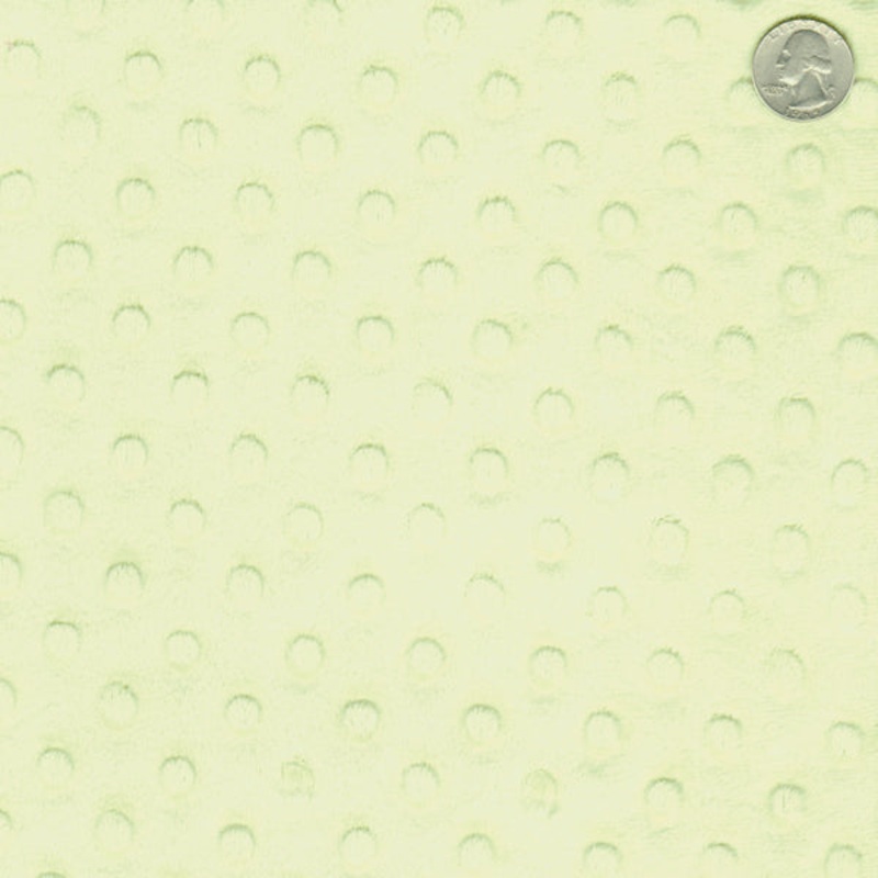 12 YD Bolt-Kiwi Minky Dot Fabric