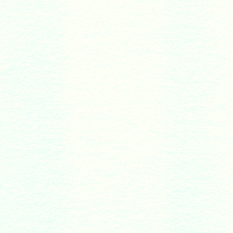 12 YD Bolt-Ivory Fleece Fabric